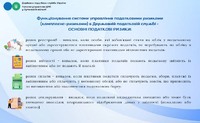 Яка мета впровадження системи управління податковими ризиками?