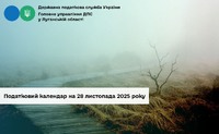 Податковий календар на 28 листопада 2025 року
