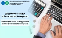 Додаткові заходи фінансового контролю. Відповідальність за порушення вимог фінансового контролю