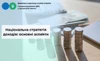 Національна стратегія доходів: основні аспекти