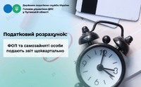 Податковий розрахунок: ФОП та самозайняті особи подають звіт щоквартально