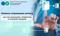 Про нюанси отримання витягу про стан розрахунків з бюджетами та цільовими фондами