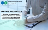 Який код виду сплати зазначається при заповненні «Призначення платежу» платіжної інструкції при погашенні податкового боргу