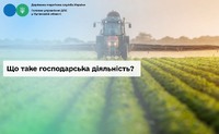 Що таке господарська діяльність?